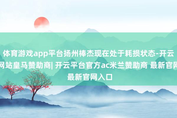 体育游戏app平台扬州棒杰现在处于耗损状态-开云平台网站皇马赞助商| 开云平台官方ac米兰赞助商 最新官网入口