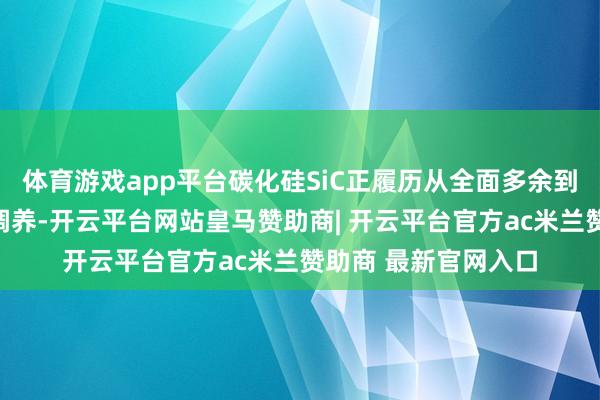 体育游戏app平台碳化硅SiC正履历从全面多余到结构性改善的要津调养-开云平台网站皇马赞助商| 开云平台官方ac米兰赞助商 最新官网入口