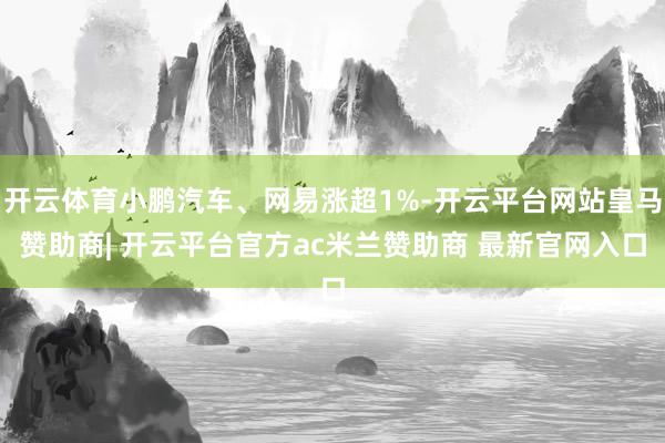 开云体育小鹏汽车、网易涨超1%-开云平台网站皇马赞助商| 开云平台官方ac米兰赞助商 最新官网入口
