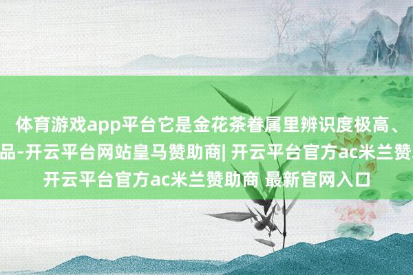 体育游戏app平台它是金花茶眷属里辨识度极高、品性贞洁的经典名品-开云平台网站皇马赞助商| 开云平台官方ac米兰赞助商 最新官网入口